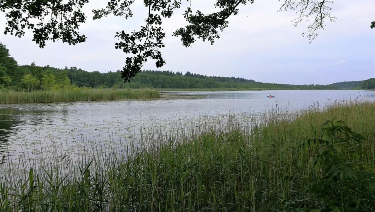 Ferienhaus Dora Villa Rechlin Buitenkant foto